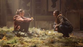 The Last of Us: HBO EPISODE 8 MARATHON COUNTDOWN (TLOU) 