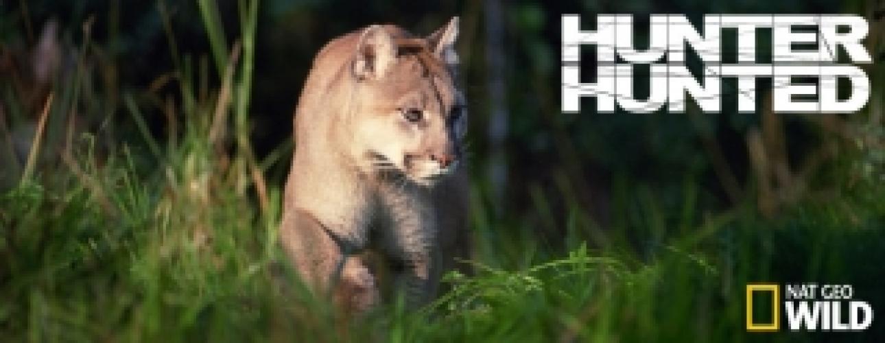 Hunter x Hunter Season 2 Air Dates & Countdown
