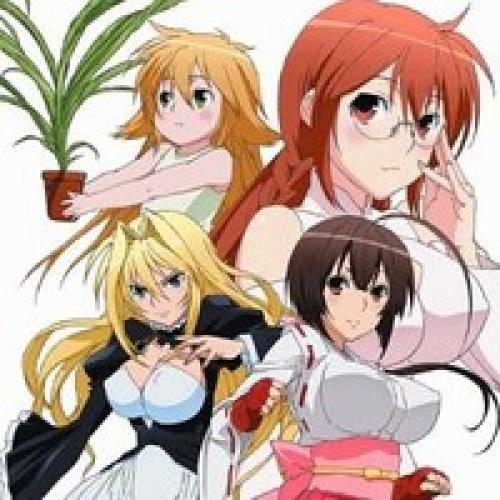 Sekirei 