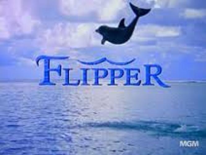 Flipper (1995) Season 4 Air Dates & Countdown