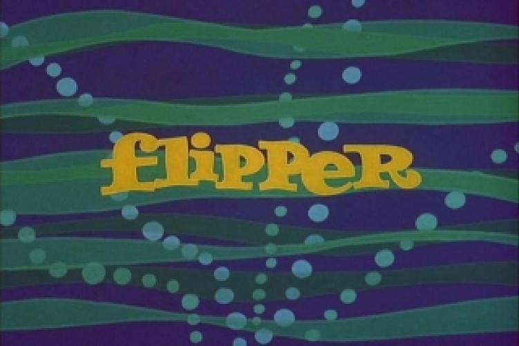 Flipper (1964) Season 1 Air Dates & Countdown