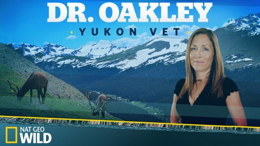 Dr. Oakley, Yukon Vet Next Episode Air Date & Count