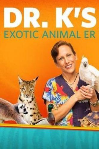 dr k exotic animal er
