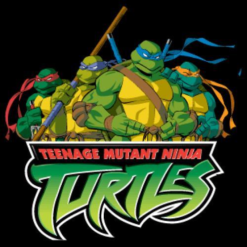 Why Was Teenage Mutant Ninja Turtles 4 Canceled And What Was It About?