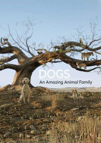 Dogs: An Amazing Animal Family Next Episode Air Date &a
