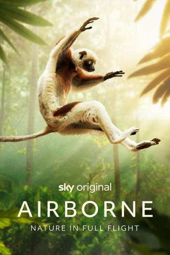 Airborne next episode air date poster