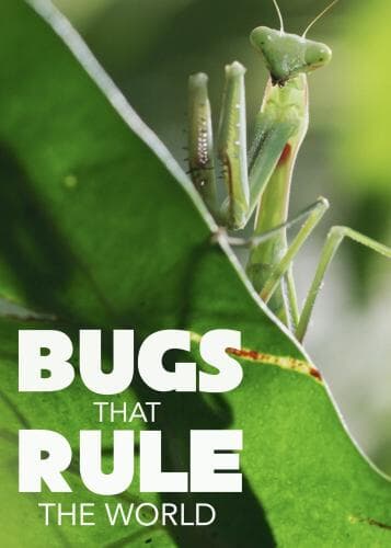 Bugs that Rule the World next episode air date poster