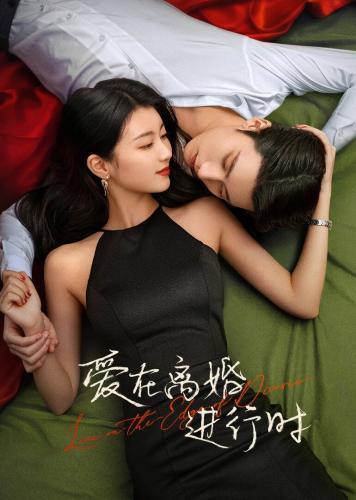 Love on the Edge of Divorce next episode air date poster