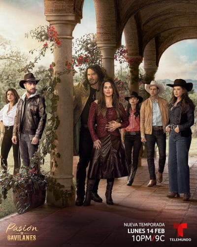 Pasión de Gavilanes next episode air date poster