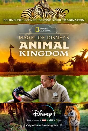 Magic of Disney's Animal Kingdom next episode air date poster