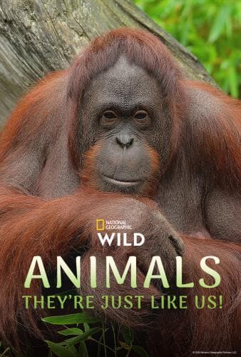 Animals, They're Just Like Us! next episode air date poster