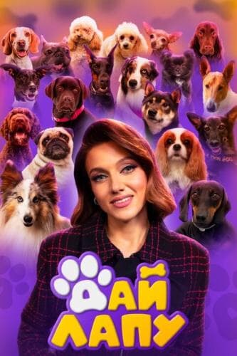 Дай лапу next episode air date poster