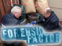 Forensic Factor thumbnail