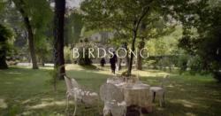 Birdsong thumbnail