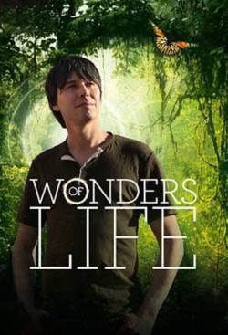 Wonders of Life thumbnail