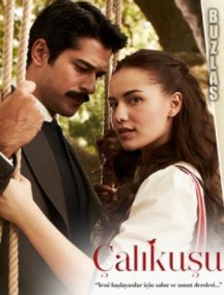 Çalikusu (2013) thumbnail