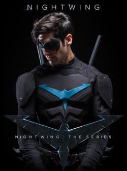 Nightwing: The Series thumbnail