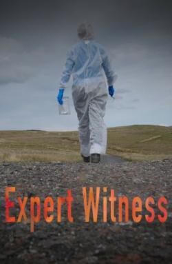 Expert Witness thumbnail