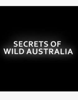 Secrets of Wild Australia thumbnail