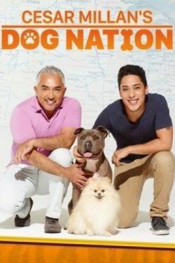 Cesar Millan's Dog Nation thumbnail