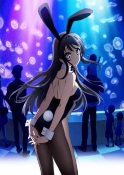 Seishun Buta Yarou wa Bunny Girl Senpai no Yume wo Minai thumbnail