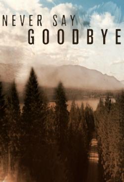 Never Say Goodbye thumbnail