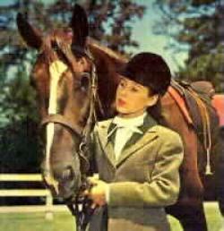 National Velvet thumbnail