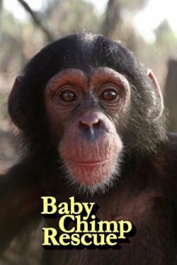 Baby Chimp Rescue thumbnail