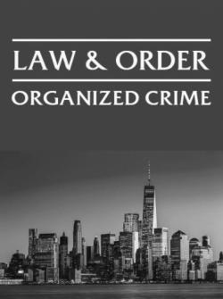 Law & Order: Organized Crime thumbnail