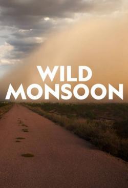 Wild Monsoon thumbnail