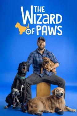 The Wizard of Paws thumbnail