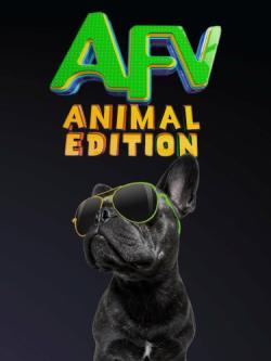 America's Funniest Home Videos: Animal Edition thumbnail