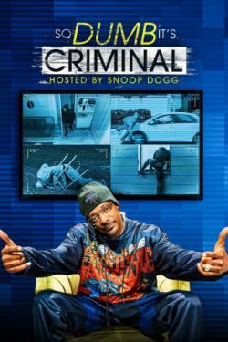 So Dumb It's Criminal thumbnail