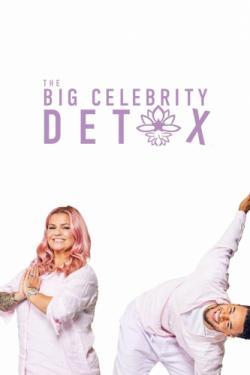 The Big Celebrity Detox thumbnail