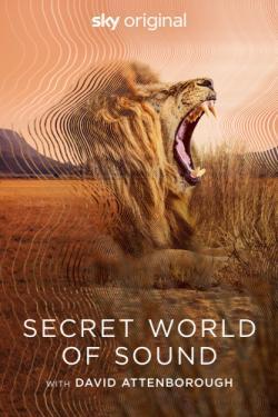 Secret World of Sound with David Attenborough thumbnail