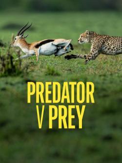 Predator vs Prey thumbnail