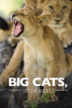 Big Cats, Small World thumbnail