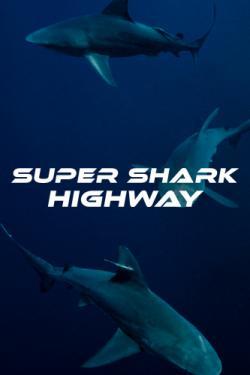 Super Shark Highway thumbnail