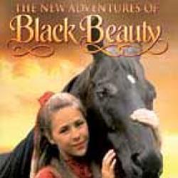 The New Adventures of Black Beauty thumbnail